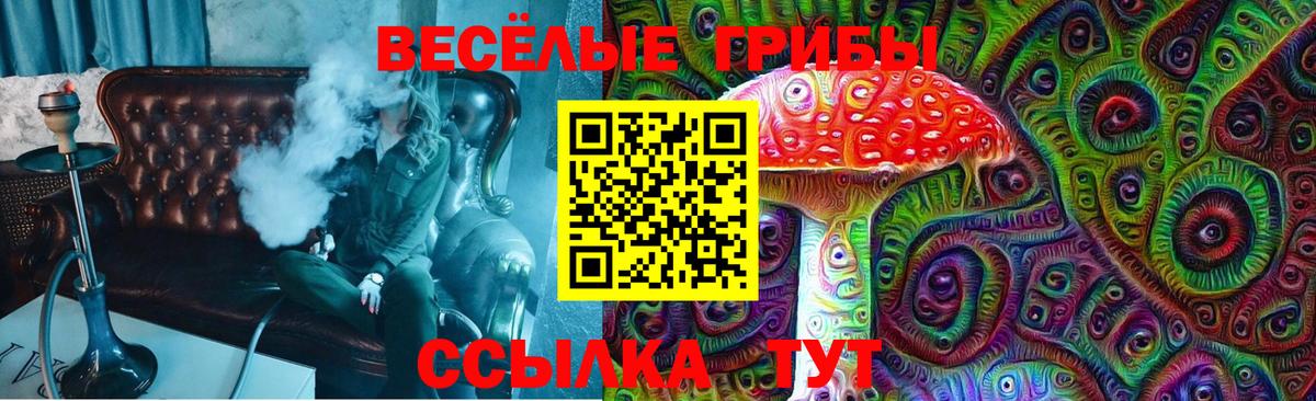 Галлюциногенные грибы GOLDEN TEACHER Каменск-Шахтинский